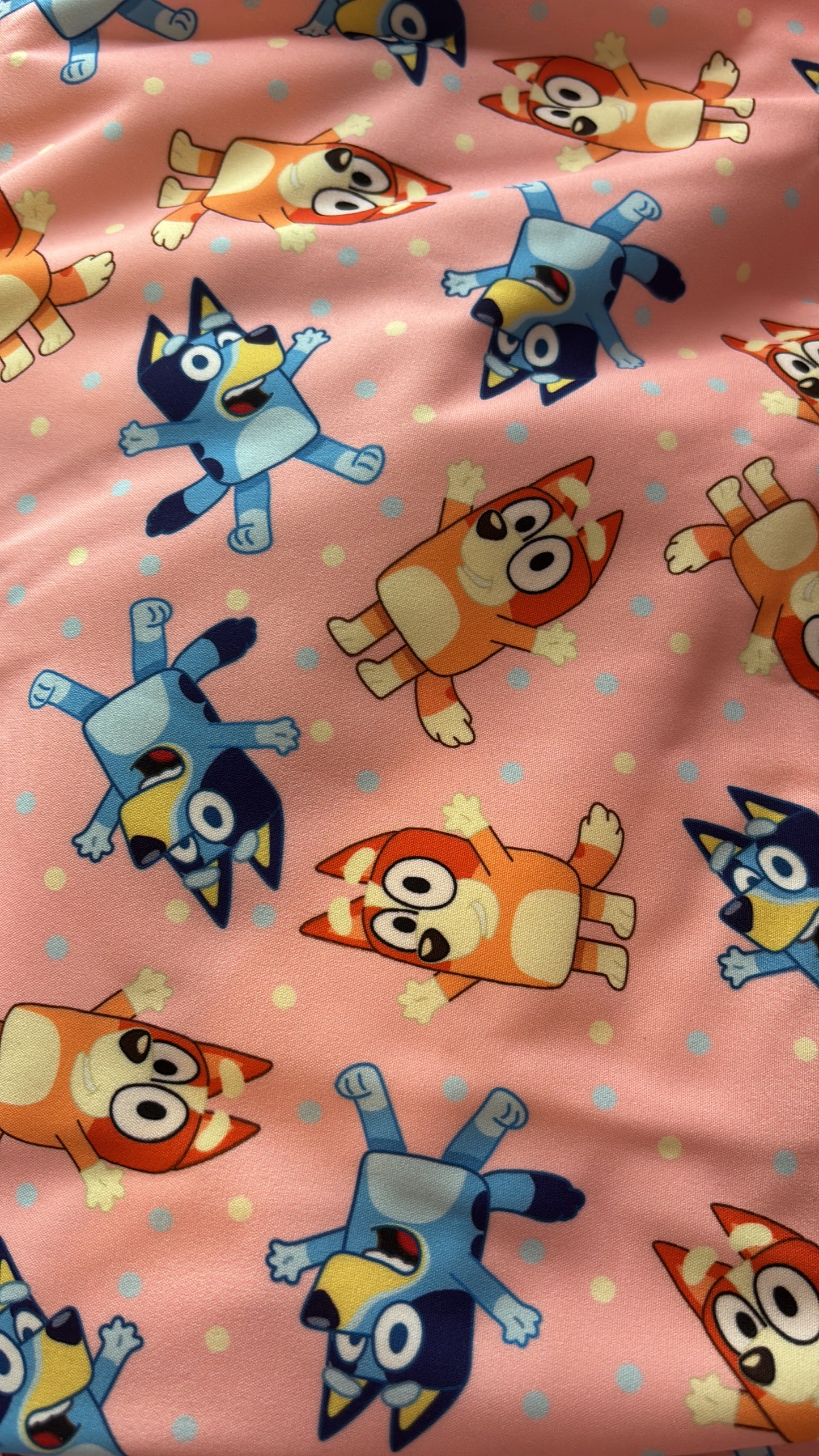 CUSTOM FOR Hayley