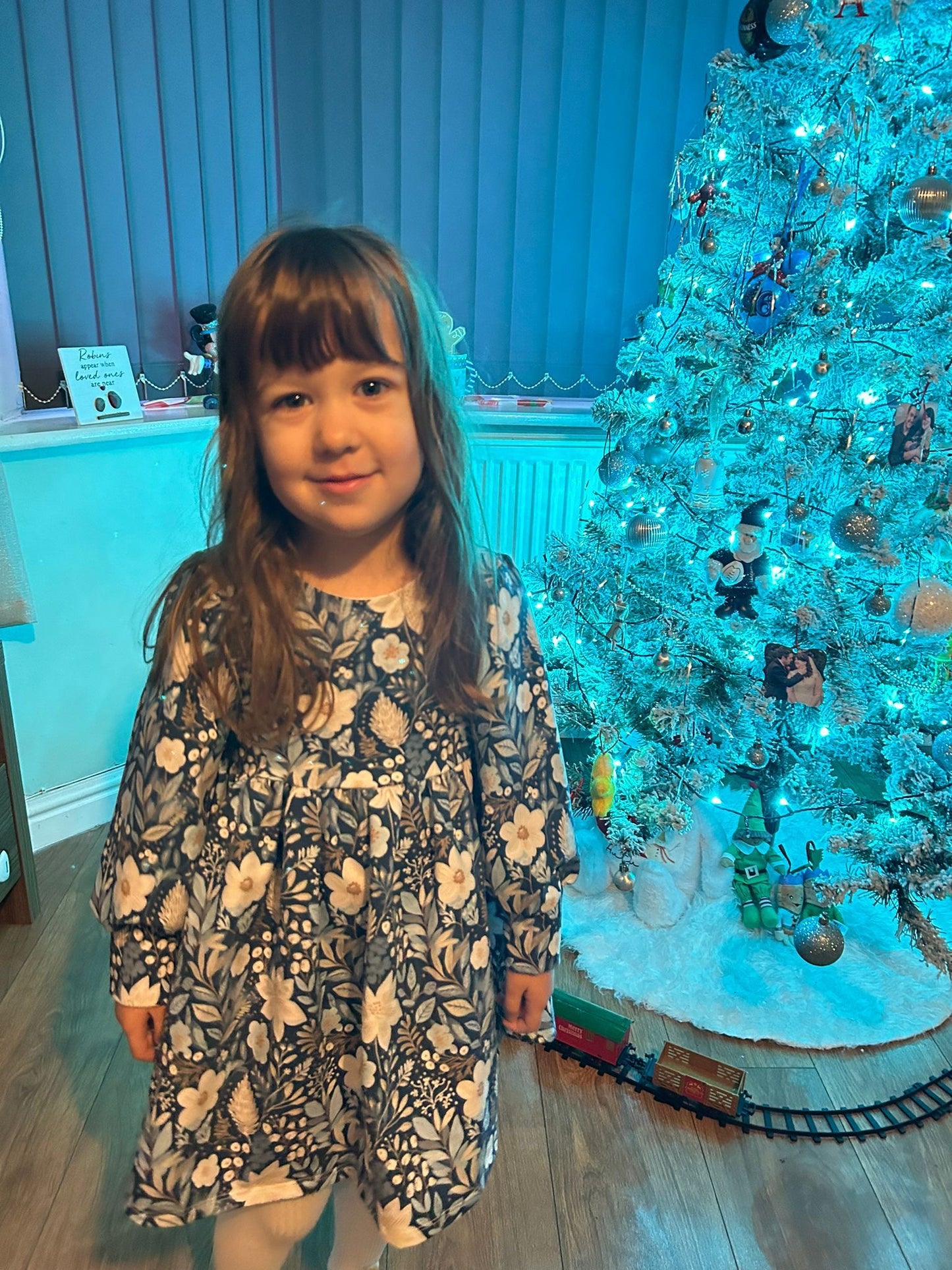 HAMPTON DRESS