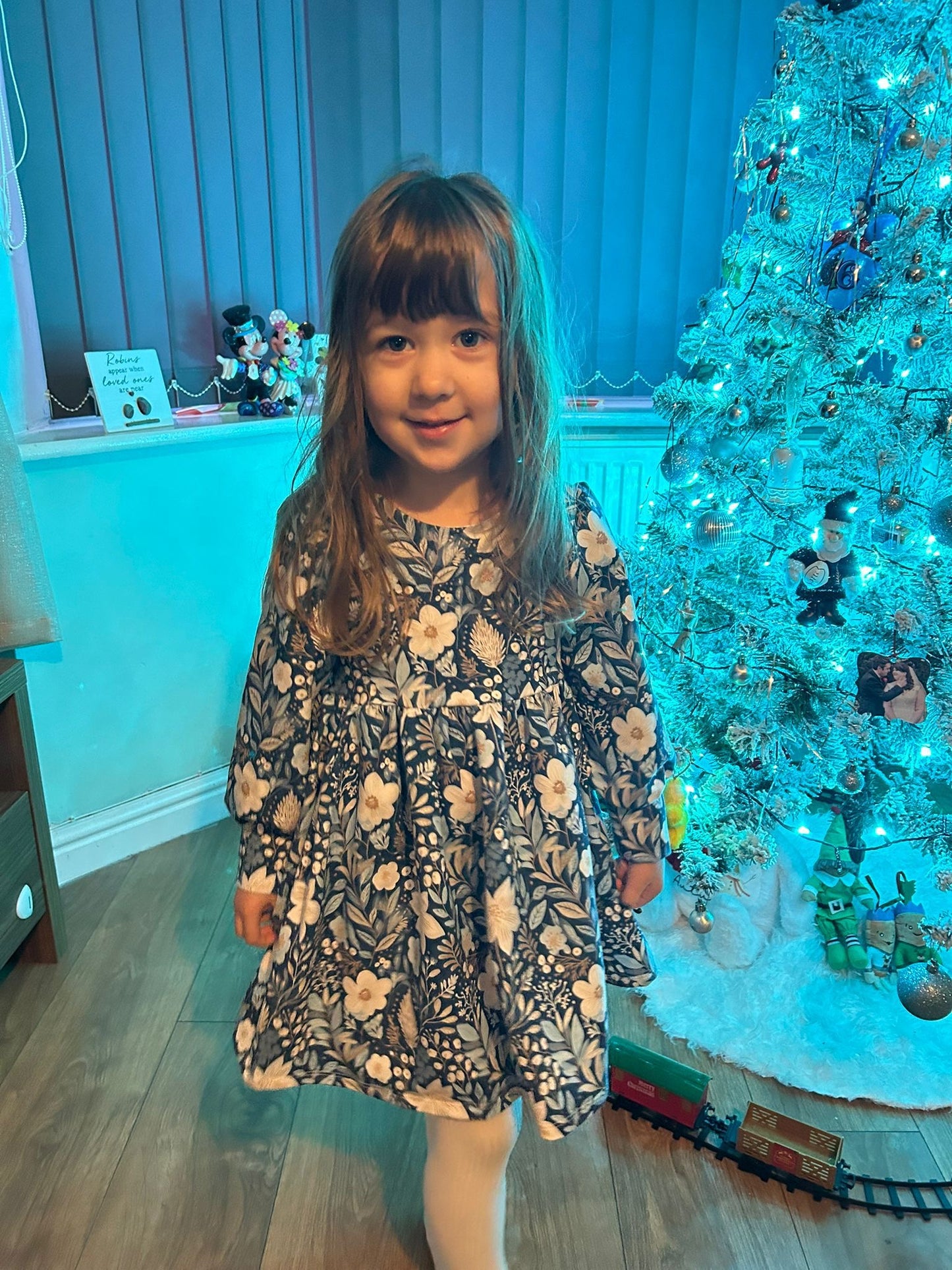 HAMPTON DRESS